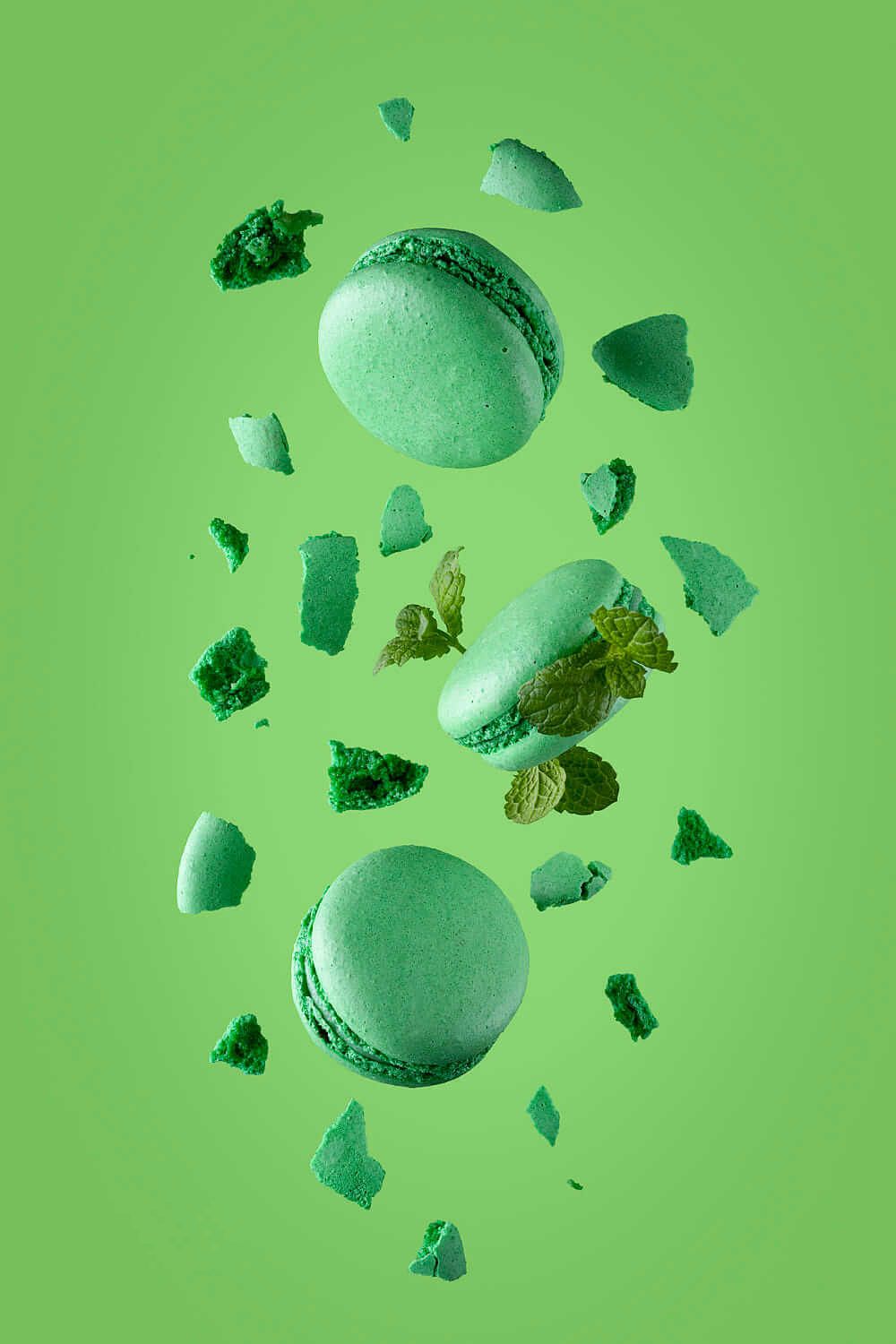 2D – 3D Animations